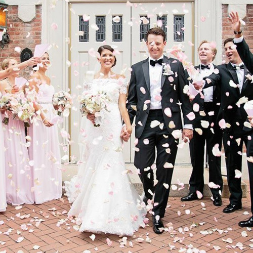 Пелюстки троянд (уп 120шт) салатово-білі