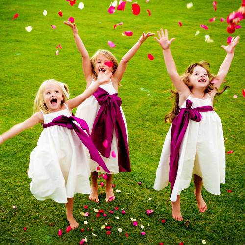 Пелюстки троянд (уп 120шт) салатово-білі