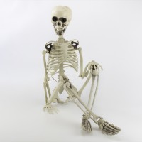 Скелет человека подвижный декоративный H90см