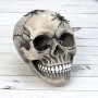 Череп скарбничка з павуками №10603 (срібний)