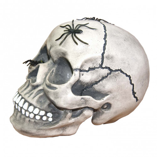 Череп скарбничка з павуками №10603 (срібний)