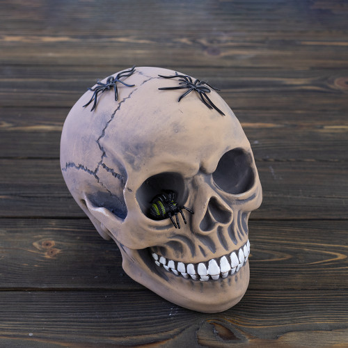 Череп скарбничка з павуками №10603 (срібний)