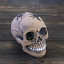 Череп скарбничка з павуками №10603 (срібний)