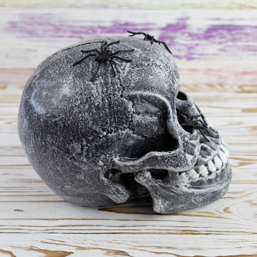 Череп скарбничка з павуками №10603 (срібний)