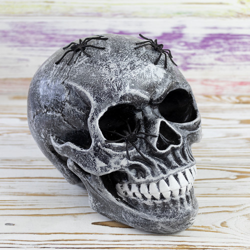 Череп скарбничка з павуками №10603 (срібний)