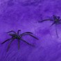 Павутиння з павуками (20гр) фіолетове