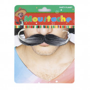 Вуса накладні карнавальні Англійські (чорні з сивиною)