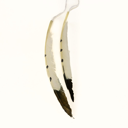 Головний убір Індіанця Роуч