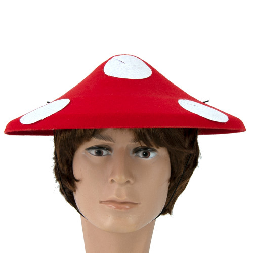 Капелюх Гриб Мухомор