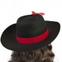 Шляпа Мушкетера с пером (черная)