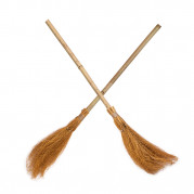 Мітла Відьми