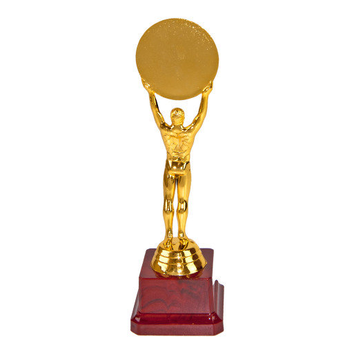 Статуэтка 57014 Человек года