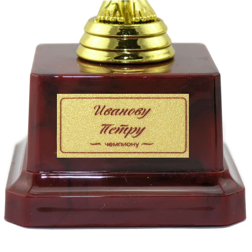 Статуетка 57042 Оскар подарунковий 19 см з написом