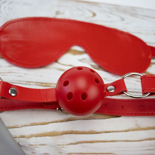Подарочный набор для эротического связывания 10 предметов 13556 (красный)