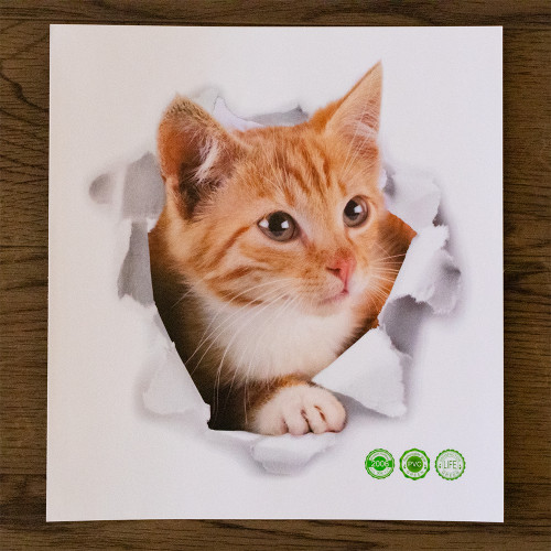 Інтерєрна наклейка CD Кіт Рудий XH2006 23х25см