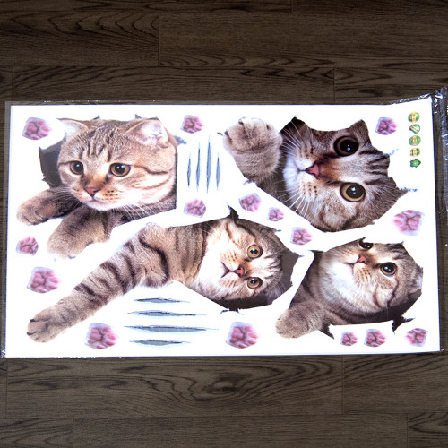Интерьерная наклейка CD Котята SK7116 70х50см