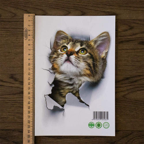 Інтерєрна наклейка CD Кіт XH2001 25х16, 5см