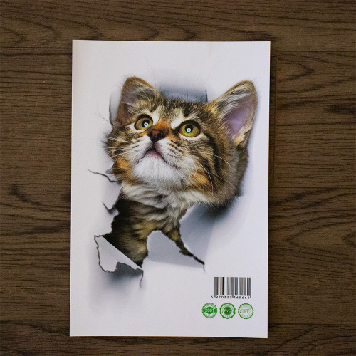 Інтерєрна наклейка CD Кіт XH2001 25х16, 5см