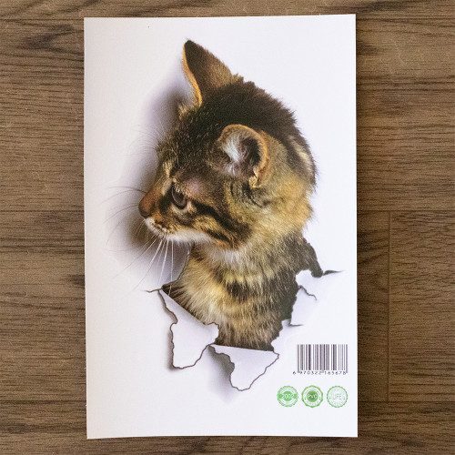 Інтерєрна наклейка CD Кішка XH2002 25х16, 5см