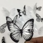 Наклейка 3D Метелики HZ-101 29,5х21см білі та чорні