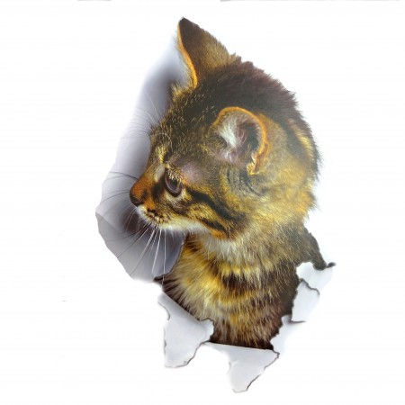 Інтер'єрна наклейка CD Кішка XH2002 25х16, 5см