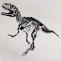 Интерьерная наклейка ZOO Скелет Динозавра SK7039 70х50см