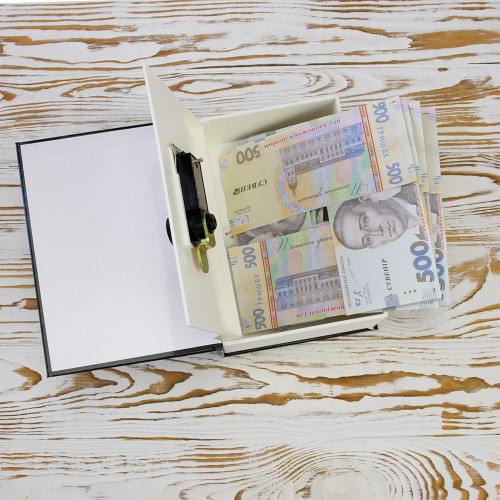 Книга сейф (18см) Динозаври