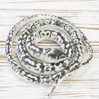 Гумова змія 70см (бежево-сіра)