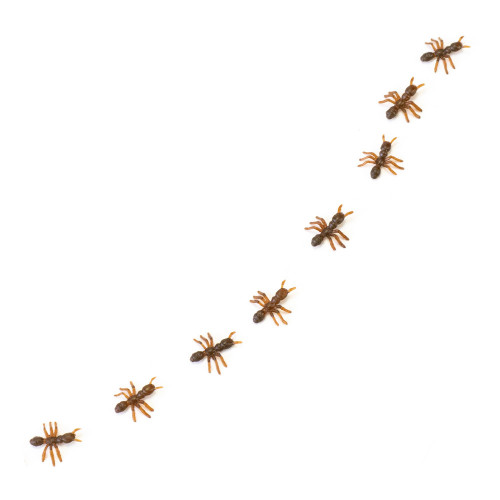 Декоративные Муравьи (уп. 9шт)