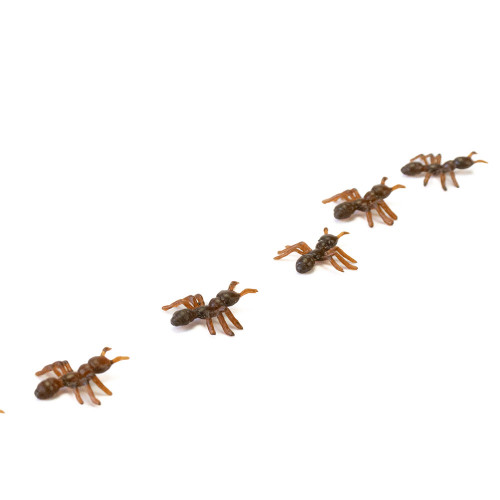 Декоративные Муравьи (уп. 9шт)
