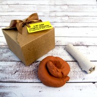 Какашка для пранку Подарунок