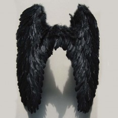 Крылья Амура большие 60х58см (черные)