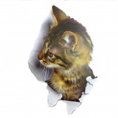 Интерьерная наклейка 3D Кошка XH2002 25х16,5см
